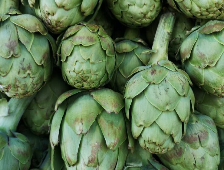 fresh artichokes