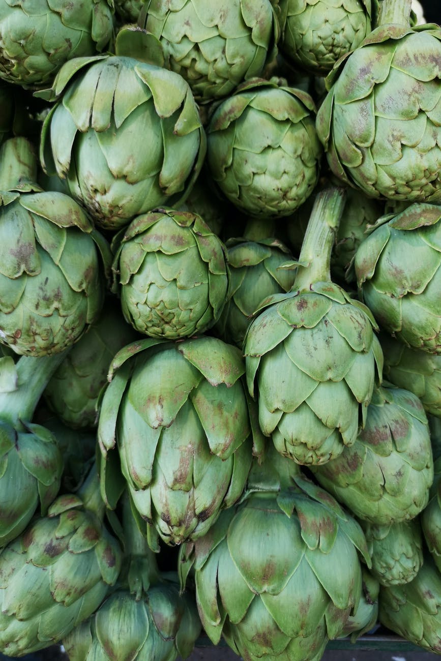 fresh artichokes